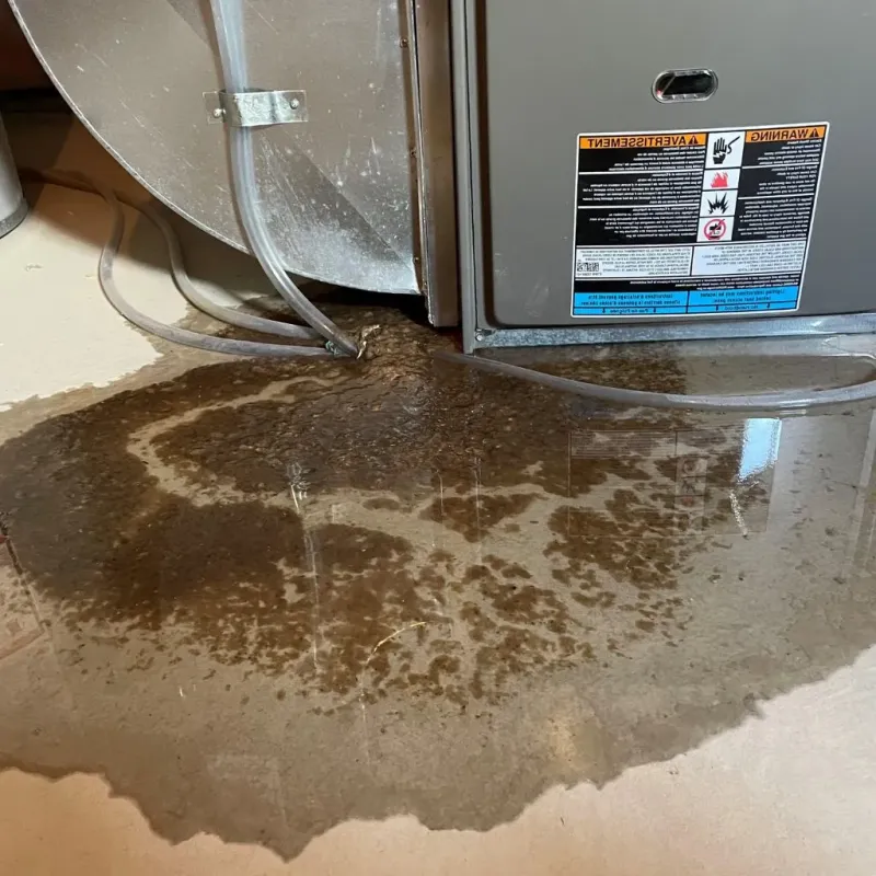 Pipe Burst and Leak Restoration in Woodlawn, MD